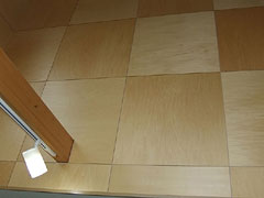 DSCF5087.jpg